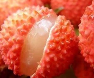 花季下载安装免费观看荔枝